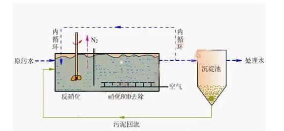 高濃度，高氨氮