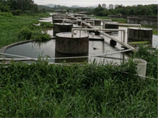 養殖污水處理_畜禽養殖污水處理設備_金版環保